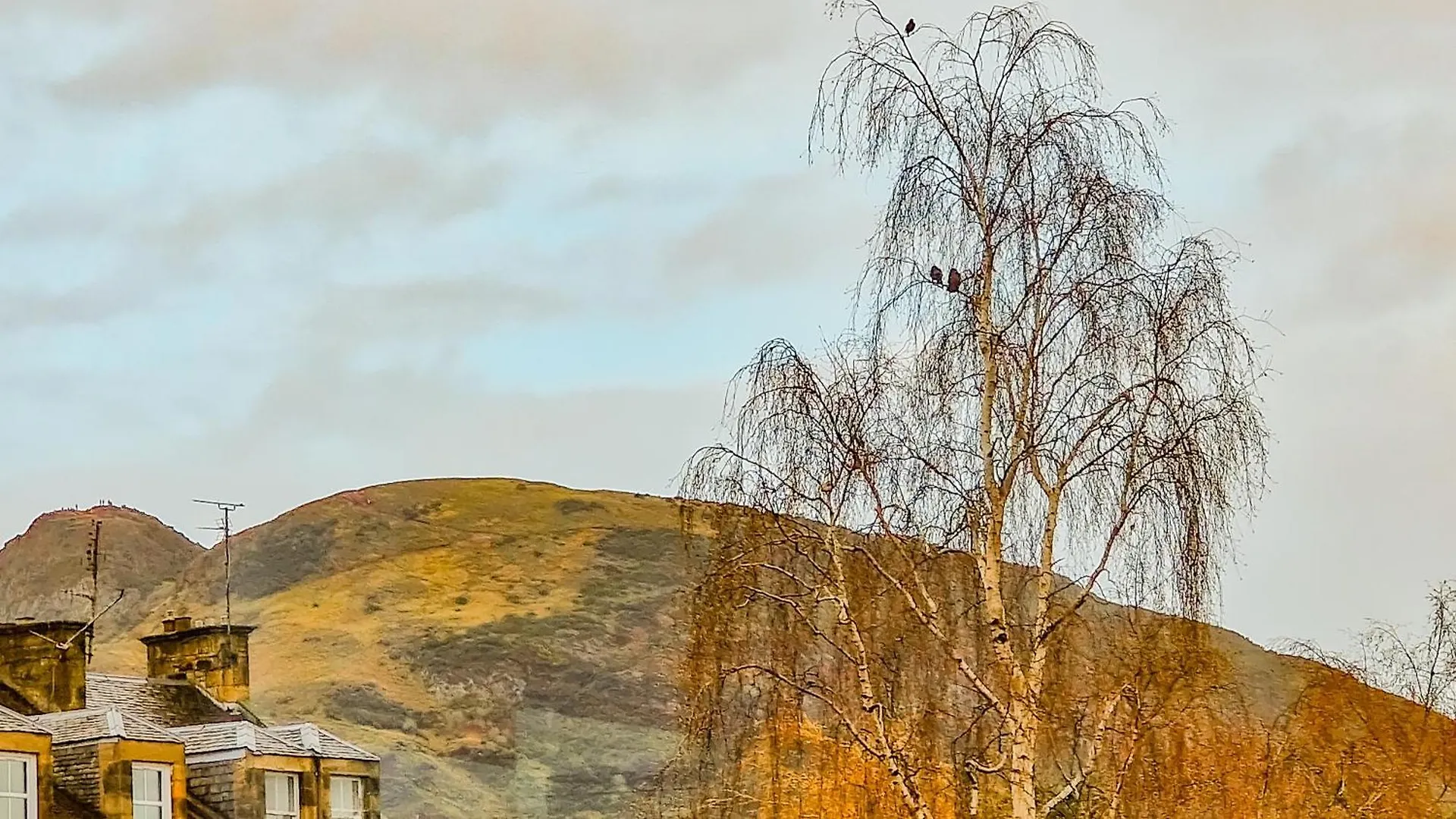 Mayfield Suites Edinburgh 0*,  United Kingdom